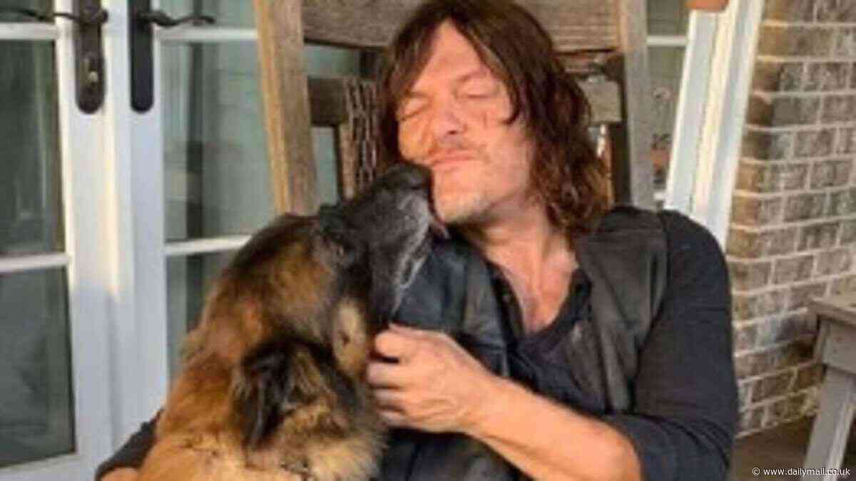 The Walking Dead dog Seven dies and receives touching tribute from co-star Norman Reedus who calls him the 'best TV buddy ever'