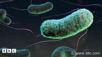 27 achos o E. coli wedi eu cofnodi yng Nghymru