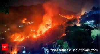 Uttarakhand government suspends CCF, DFO for Binsar fire that killed 4