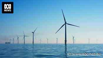 Government approves smaller offshore wind zone off Illawarra