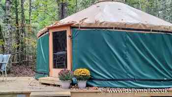 Maine brothers build off-the-grid yurt in the forest by themselves that's 300 square feet - but there's a major catch