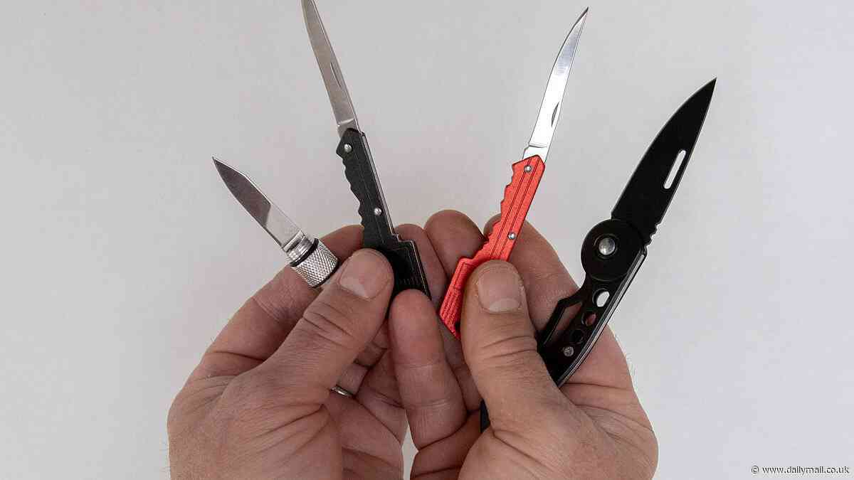 The pocket-money knives on sale for 95p! How blades disguised as keys and even a credit card can be brought by teenagers from Chinese fast fashion giant Shein
