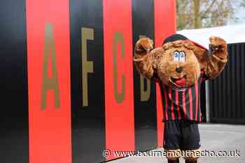 AFC Bournemouth fans can subscribe to Daily Echo for £4 for 4 months