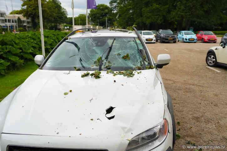 Auto’s beschadigd door vallende tak in Arnhem