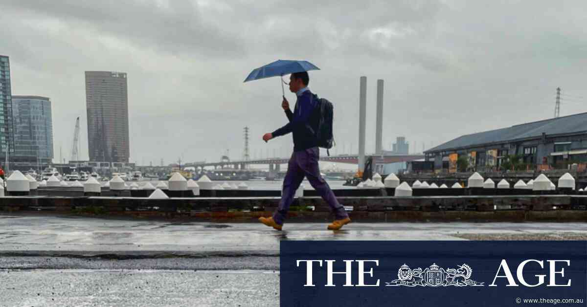 ‘Nuisance’ rain on the way as Melbourne’s cold, foggy mornings roll on
