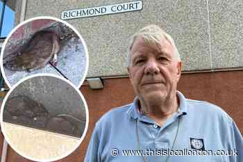 Clarion ordered to pay Mitcham man £500 over rats in flats
