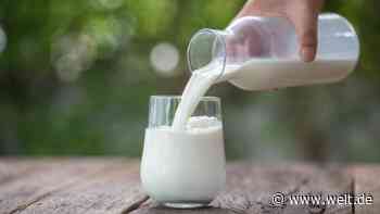Jugend verschmäht Milch – So kämpft die Branche um die Generation Z