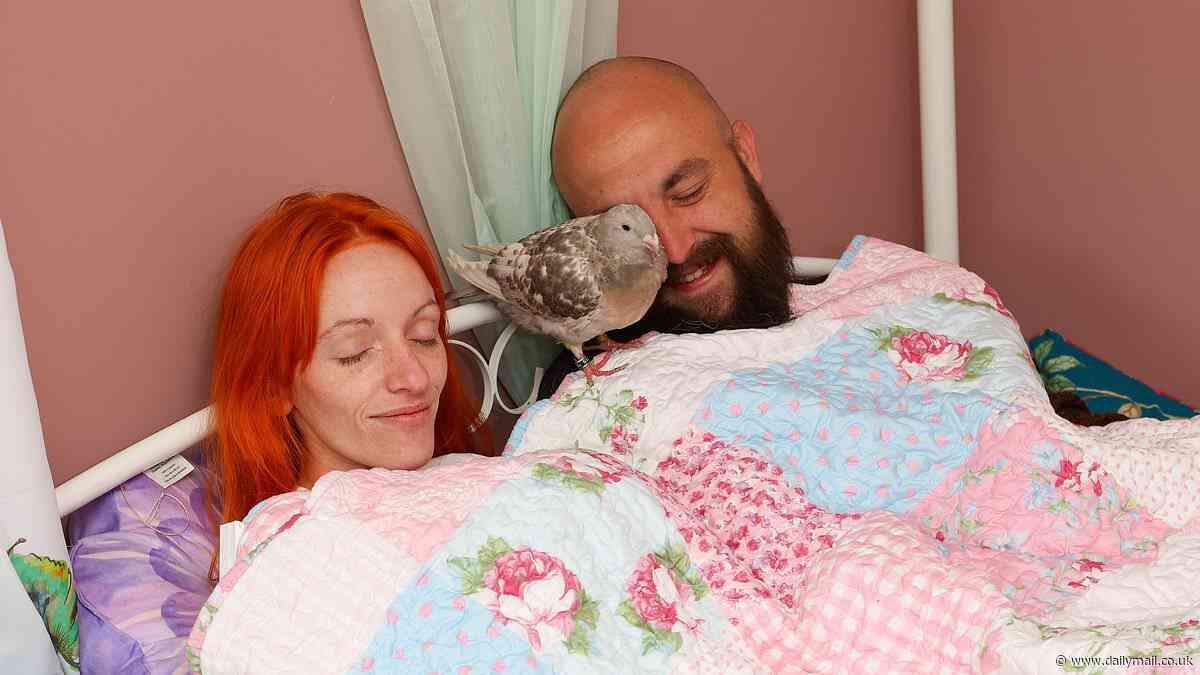 I force my husband to share a bed with my two pet PIGEONS - they kiss and cuddle me