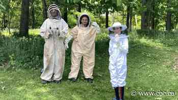 Bees are the class pets for these Eastern Townships students, thanks to their science teachers