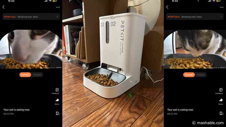 I love snooping on my cat with Petkit's camera-enabled automatic feeder