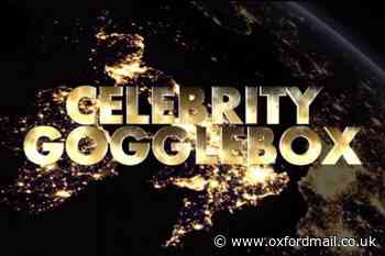 Celebrity Gogglebox call for Bez and Shaun to get own show