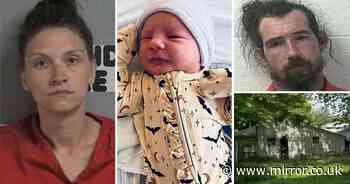 Decomposing corpse of missing eight-month-old baby girl discovered after desperate search
