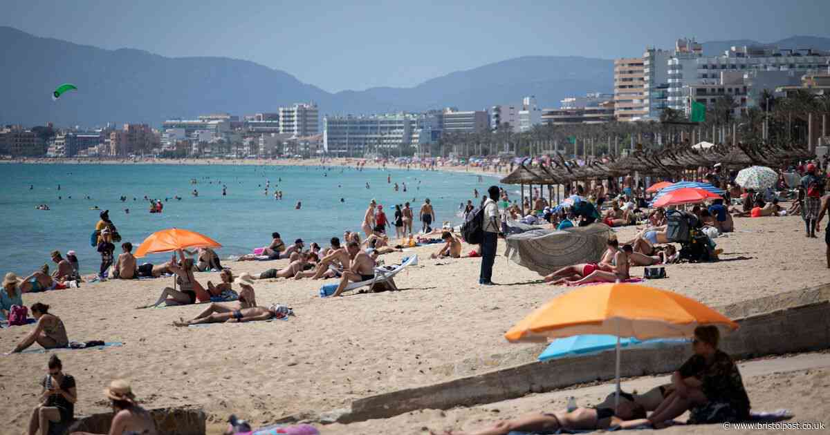 Travel agents 'should cancel' holidays to Spain, Majorca and Tenerife as anti-tourism protests rage
