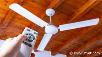 Try This Ceiling Fan Hack to Save Big on AC This Summer     - CNET