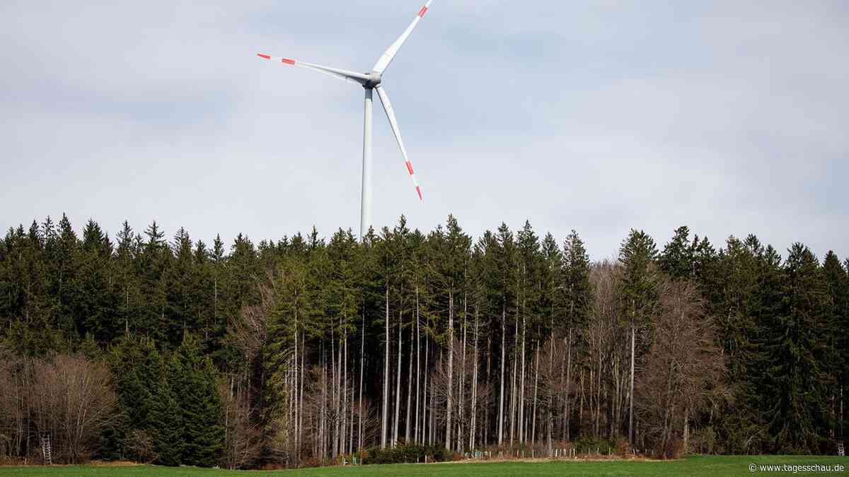 Warum der Windkraftausbau in Bayerns Staatswald stockt