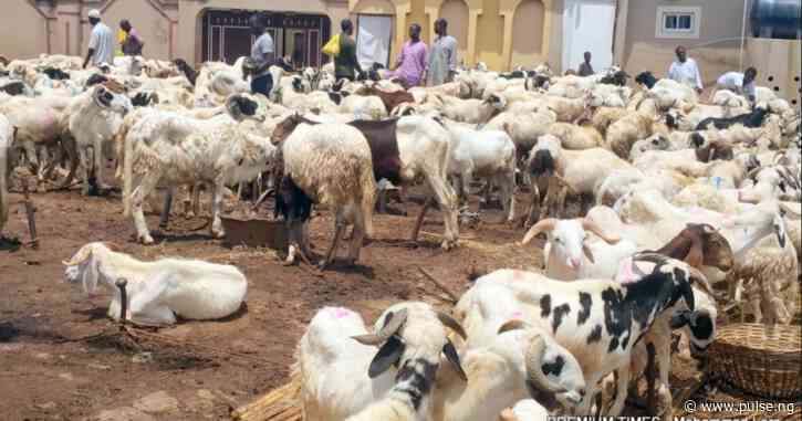 Plateau Rep donates 400 rams, ₦20 million to constituents for Sallah