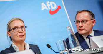 AfD-Parteitag in Essen: Fünf Anträge mit Zoff-Potenzial