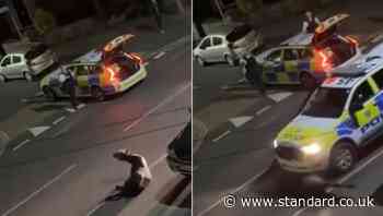 Chris Packham outraged as police ram escaped cow on the street in Staines-upon-Thames
