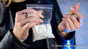 Surprising new face of Aussie drug dealers as one group turns to crime to support their habit