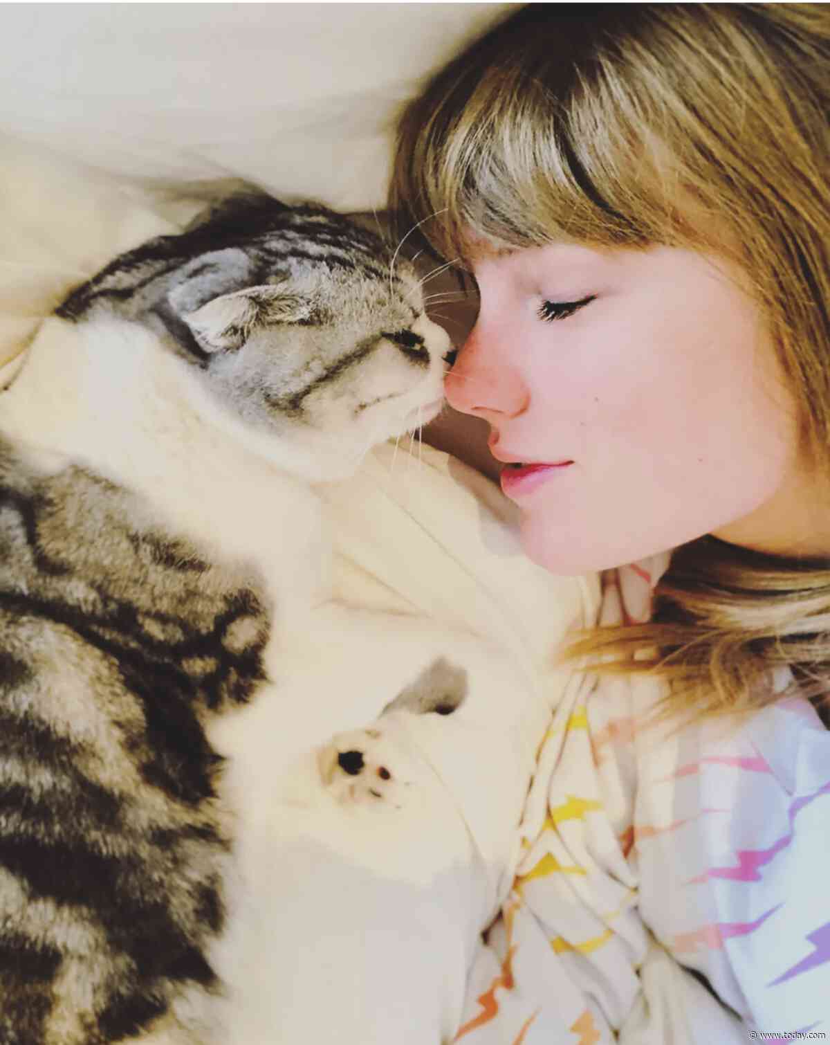 Taylor Swift's cats: What she's said about Meredith Grey, Olivia Benson and Benjamin Button
