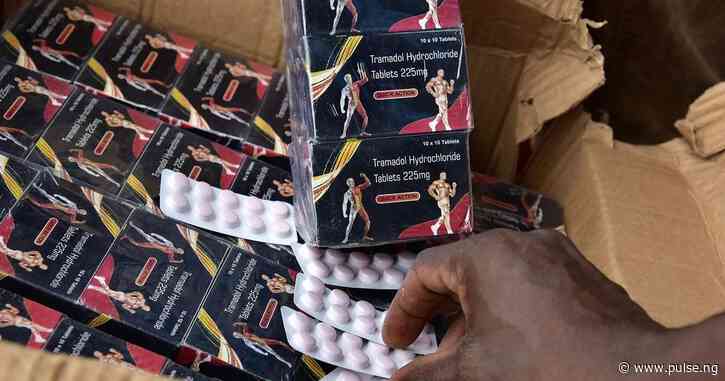 NDLEA intercepts 230,600 Tramadol tablets, arrests 106 suspects in Kano
