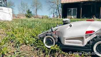 Ditch the Chore, Embrace the Robot: Your Guide to Robot Lawn Mowers     - CNET