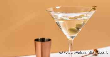 Celebrate World Martini Day with a Nine Tines Vodka - a classic British serve made from Yorkshire potatoes