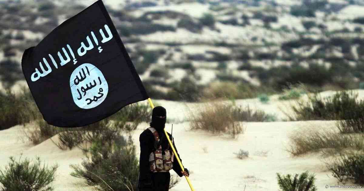 New York City on high alert after eight suspected ISIS associates arrested across major US cities