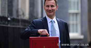 Penny-pinching Chancellor Jeremy Hunt spent £2,700 on new red box for Budget