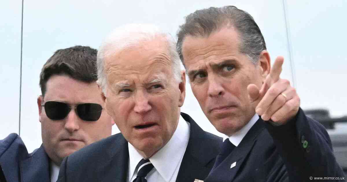 Hunter Biden beams as he's seen out in Hollywood after felony gun conviction