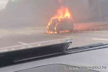 Auto brandt volledig uit op E313 in Beringen