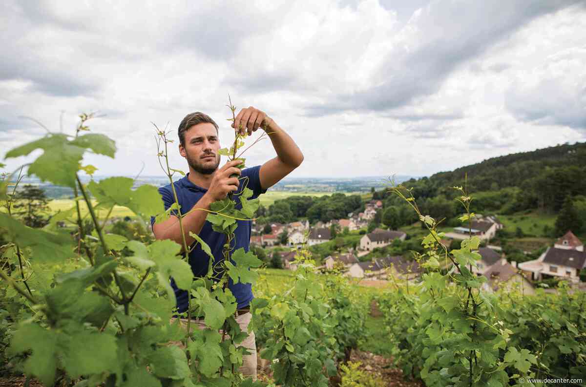 Volnay's new generation takes the reins