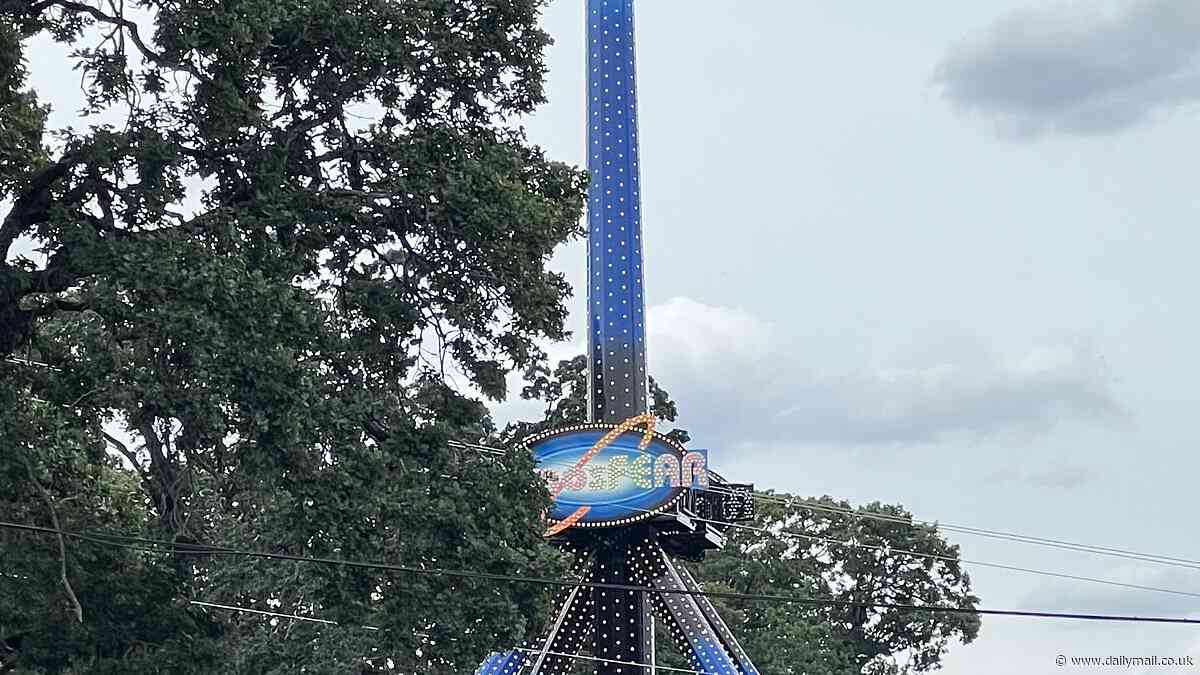 Moment thrill-seekers scream with terror as they are left dangling upside down after ride breaks down: 'People were saying their last words'