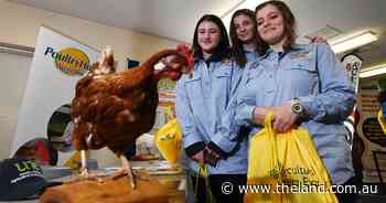 Ag careers day gives students lots of options