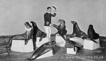 Fred Woodward's Sea Lions and Seals at Palace Theatre