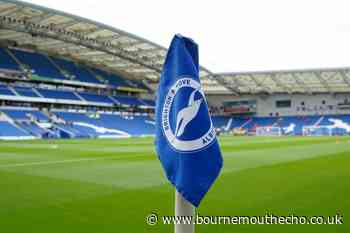 Fabian Hurzeler appointed Brighton & Hove Albion boss