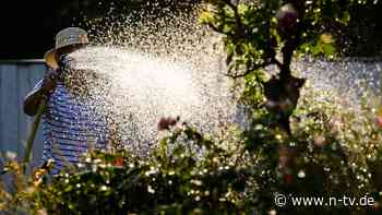 Nachhaltige Gartenarbeit: Tipps zum effizienten Wasserverbrauch