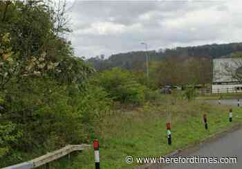 Fears raised over 'overgrown' Herefordshire verges