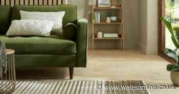 'Gorgeous' Shoppers praise 'superb quality' Dunelm washable rug - available in three colours