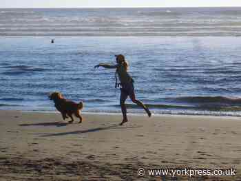 North Yorkshire dog friendly beaches revealed for summer