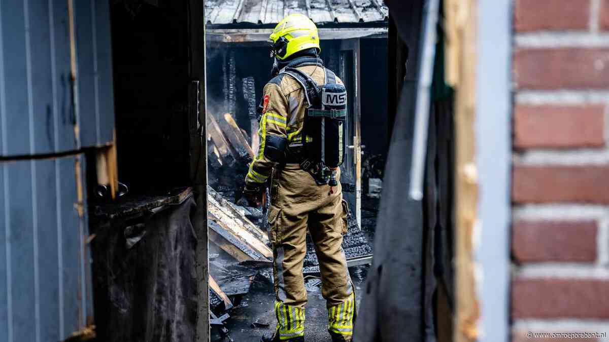 112-nieuws: brand in schuur • leeuwtje gevonden, politie zoekt baasje