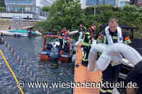 Dramatisches Kentern im Schiersteiner Hafen: Rettungskräfte verhindern Umweltdebakel