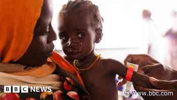 Millions in daily struggle to find food as Sudan war rages