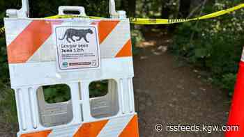U.S. Forest Service temporarily closes Angel's Rest Trail after cougar sighting