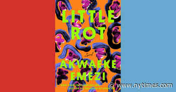 Book Review: ‘Little Rot,’ by Akwaeke Emezi