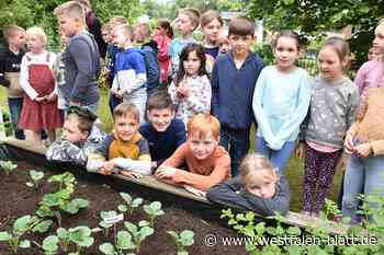 Grundschule in Warburg unterrichtet in freier Natur