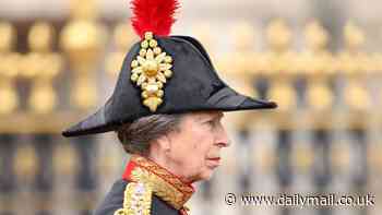 Anne is praised as 'outstanding horsewoman' after Princess Royal managed to keep control of her horse during Trooping the Colour