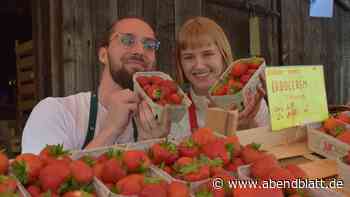 Erdbeerfest am Rieck-Haus: Das sind die schönsten Fotos