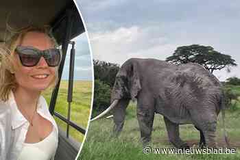 Op safari in Kenia: “Deze reis overtreft elke afbeelding, foto of brochure”