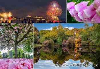 15 fabulous photos showcasing the beauty of Wirral this month